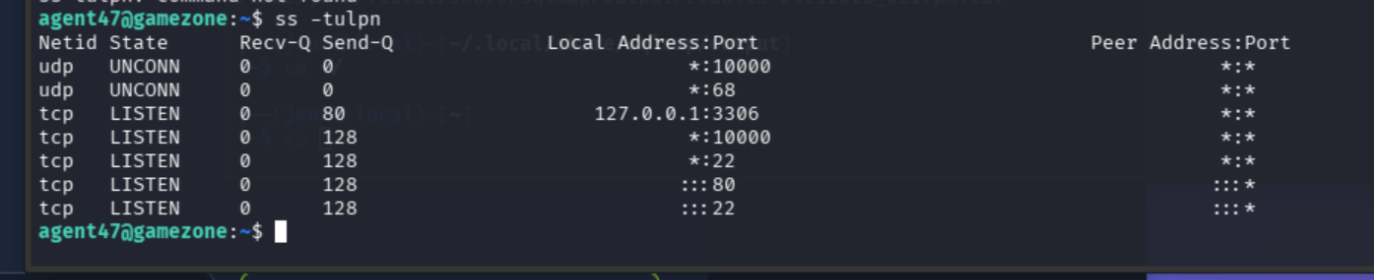 ss -tulpn output showing MariaDB on 3306 and port 10000 listening on all interfaces